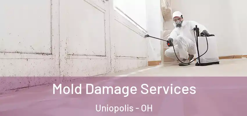 Mold Damage Services Uniopolis - OH