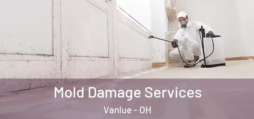  Mold Damage Services Vanlue - OH