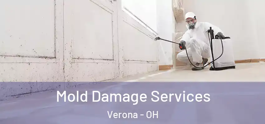 Mold Damage Services Verona - OH