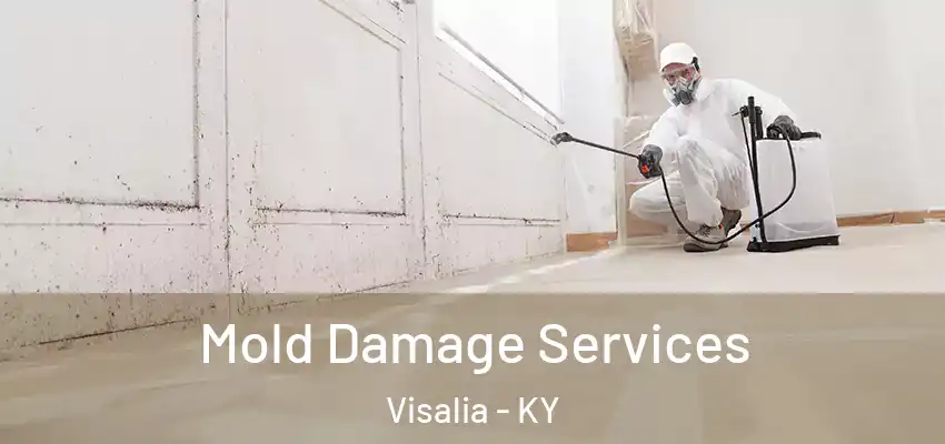 Mold Damage Services Visalia - KY