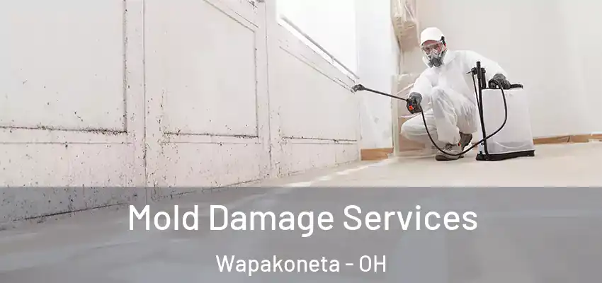  Mold Damage Services Wapakoneta - OH