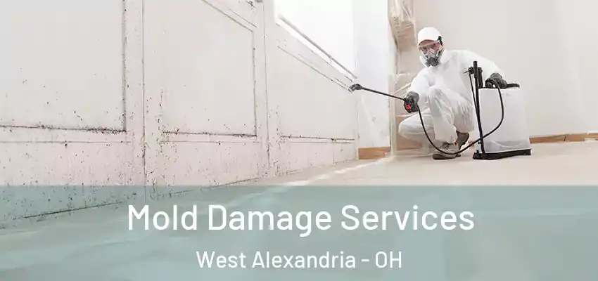 Mold Damage Services West Alexandria - OH