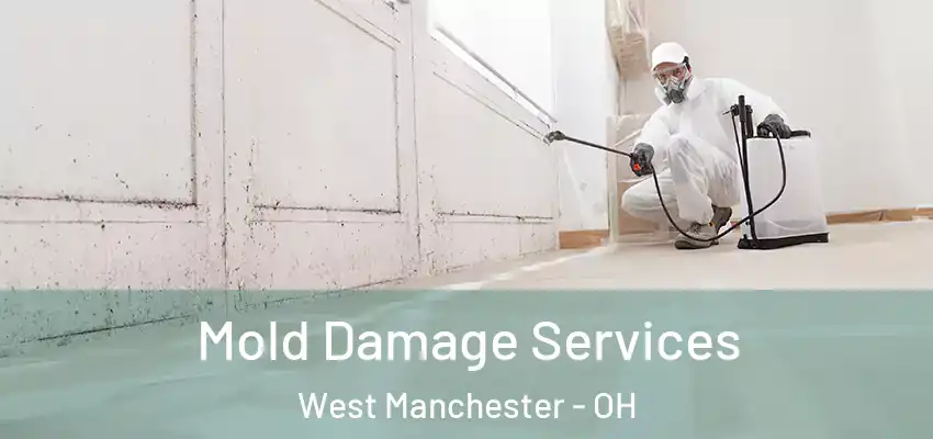 Mold Damage Services West Manchester - OH
