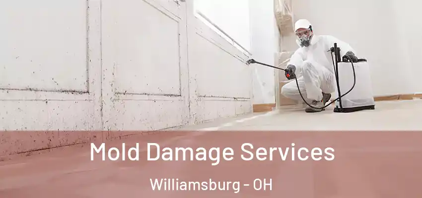 Mold Damage Services Williamsburg - OH