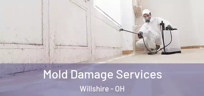 Mold Damage Services Willshire - OH