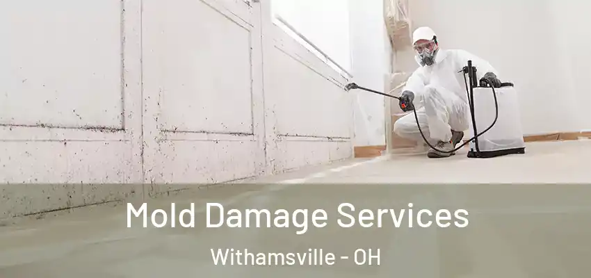 Mold Damage Services Withamsville - OH