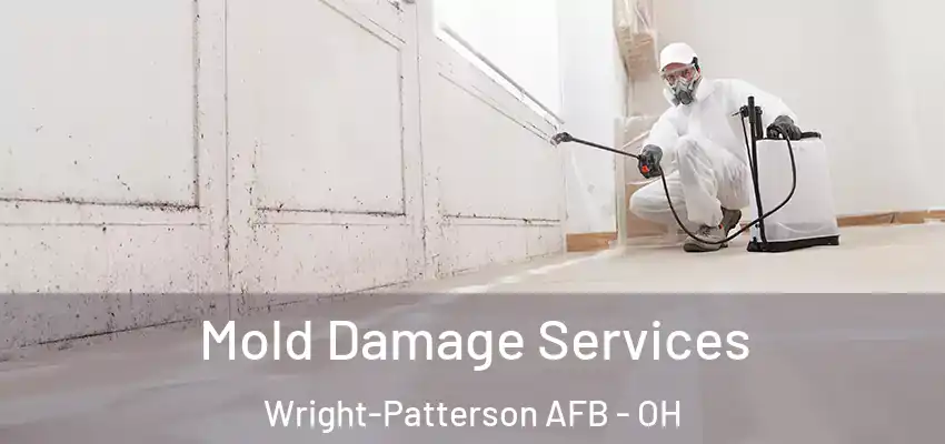 Mold Damage Services Wright-Patterson AFB - OH