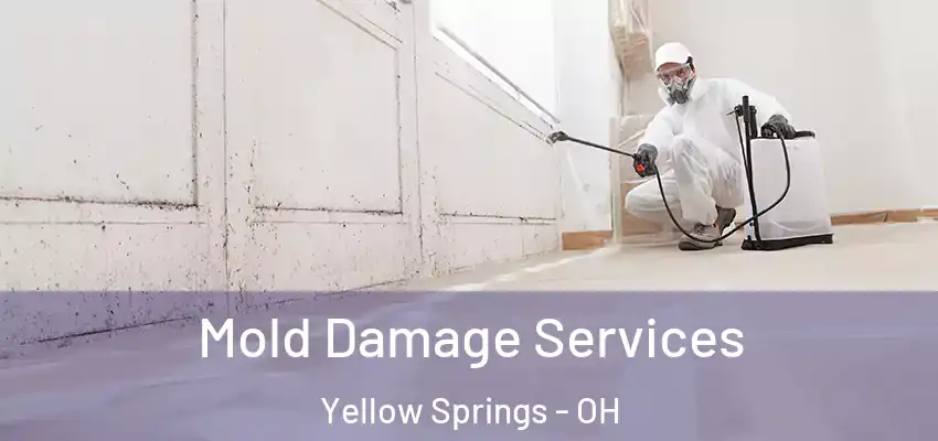 Mold Damage Services Yellow Springs - OH