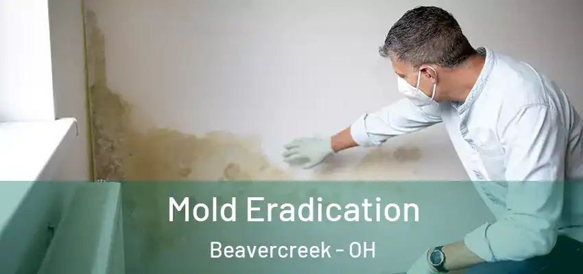 Mold Eradication Beavercreek - OH