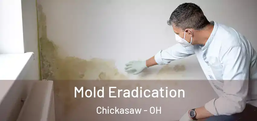 Mold Eradication Chickasaw - OH