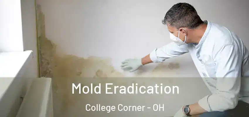 Mold Eradication College Corner - OH