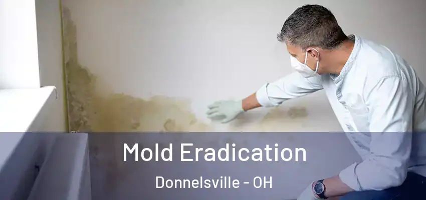  Mold Eradication Donnelsville - OH
