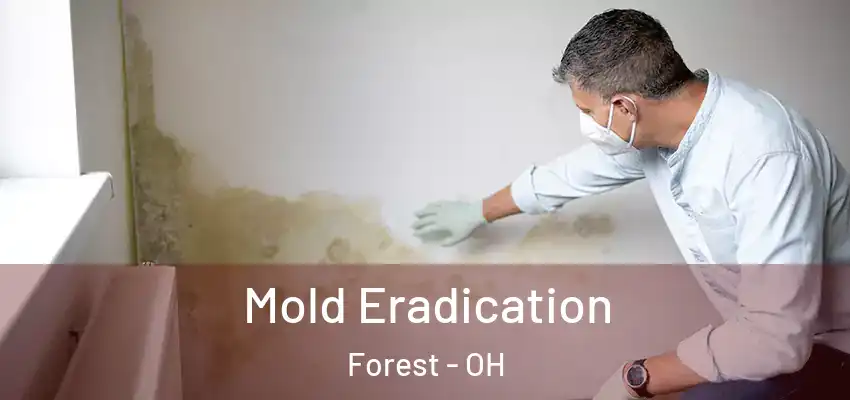 Mold Eradication Forest - OH