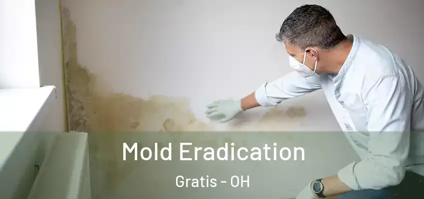  Mold Eradication Gratis - OH