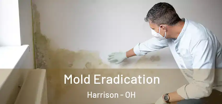 Mold Eradication Harrison - OH