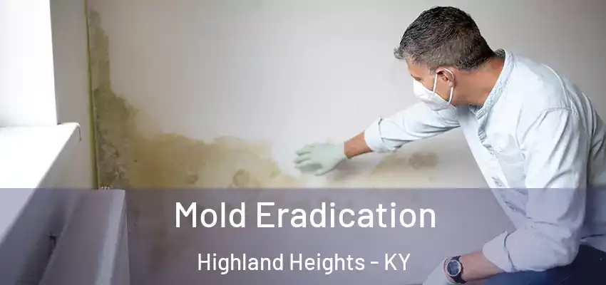 Mold Eradication Highland Heights - KY