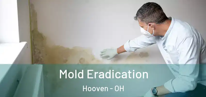 Mold Eradication Hooven - OH