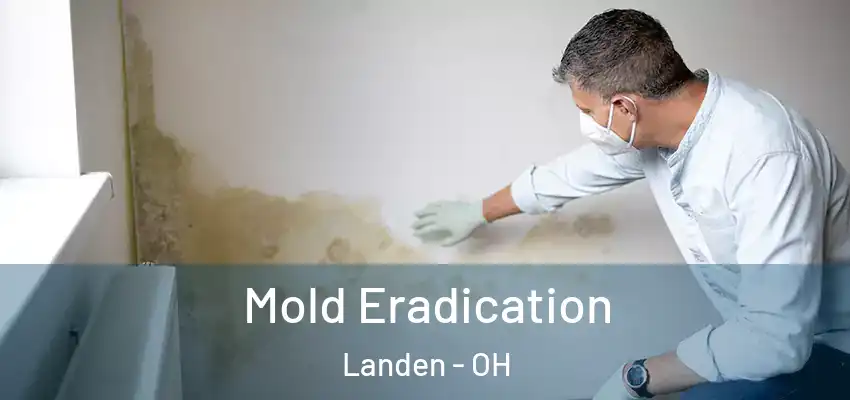 Mold Eradication Landen - OH