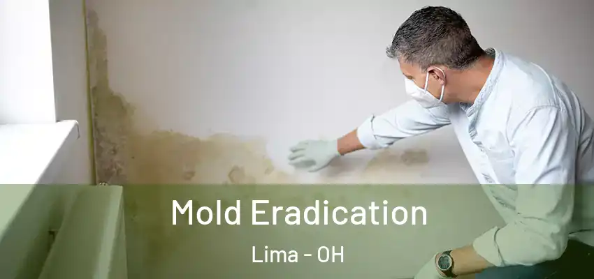 Mold Eradication Lima - OH