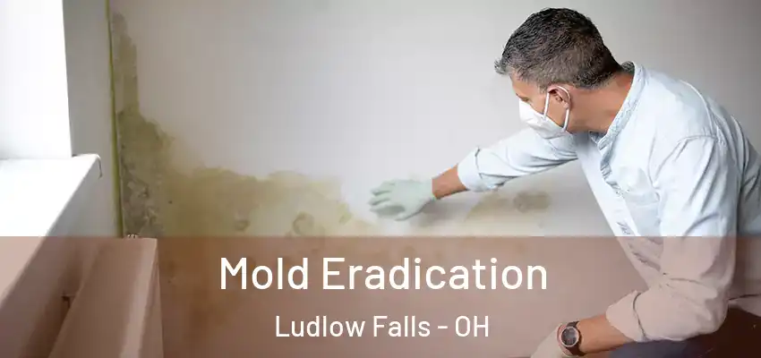 Mold Eradication Ludlow Falls - OH