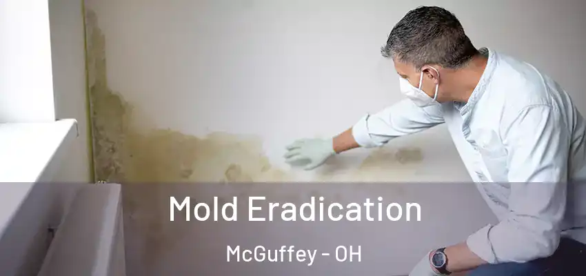 Mold Eradication McGuffey - OH