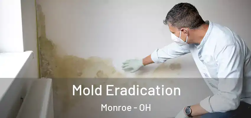  Mold Eradication Monroe - OH
