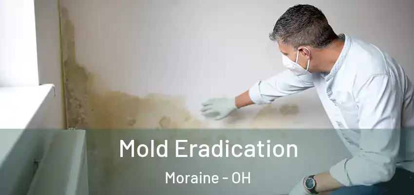 Mold Eradication Moraine - OH