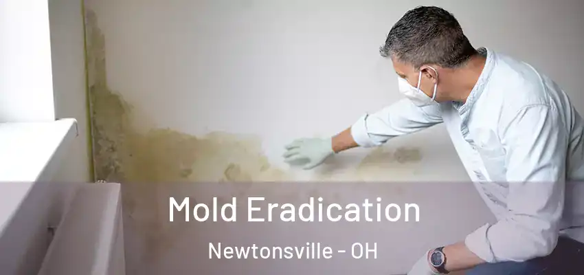 Mold Eradication Newtonsville - OH