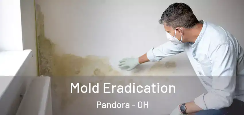  Mold Eradication Pandora - OH