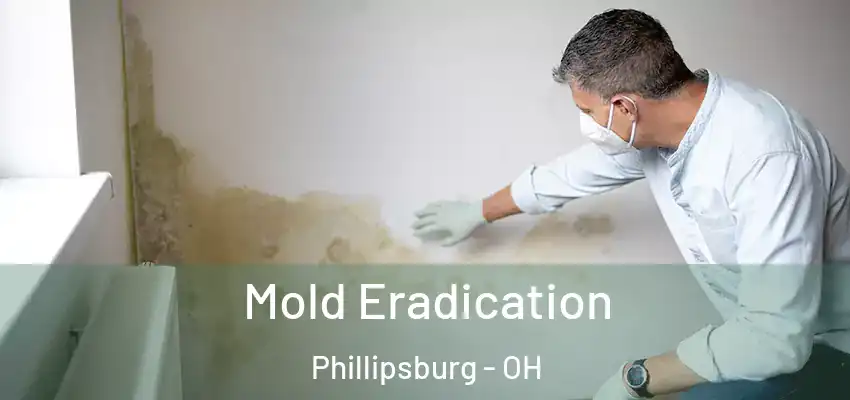 Mold Eradication Phillipsburg - OH