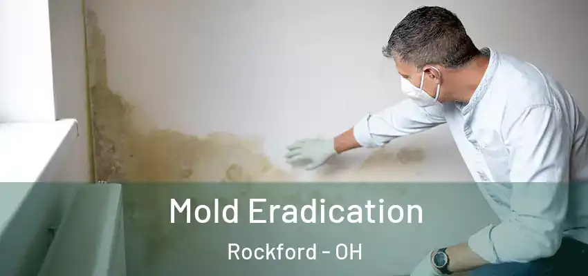  Mold Eradication Rockford - OH