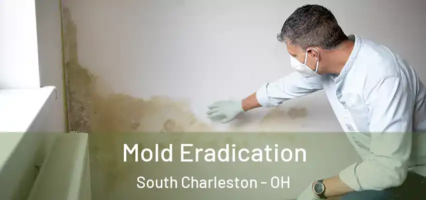 Mold Eradication South Charleston - OH