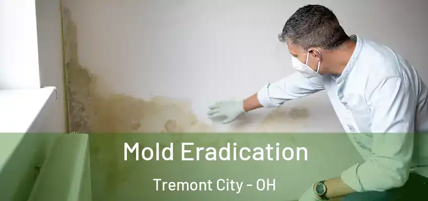 Mold Eradication Tremont City - OH