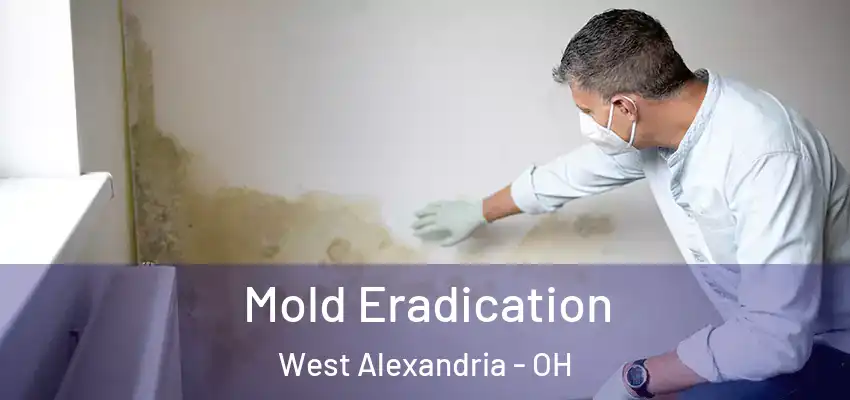 Mold Eradication West Alexandria - OH