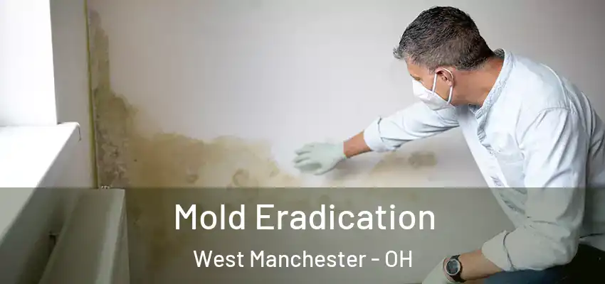 Mold Eradication West Manchester - OH