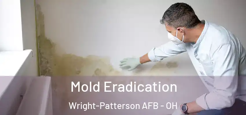 Mold Eradication Wright-Patterson AFB - OH