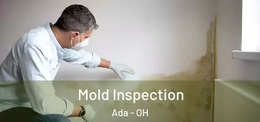  Mold Inspection Ada - OH