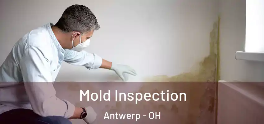  Mold Inspection Antwerp - OH