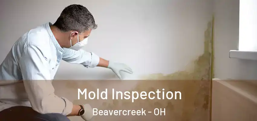  Mold Inspection Beavercreek - OH