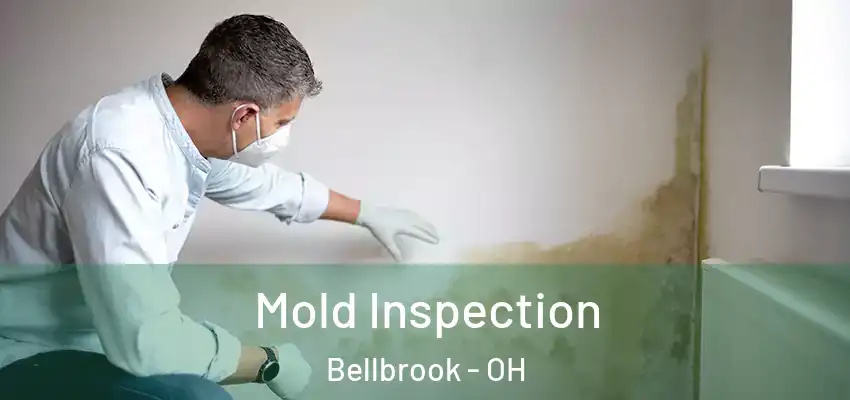 Mold Inspection Bellbrook - OH
