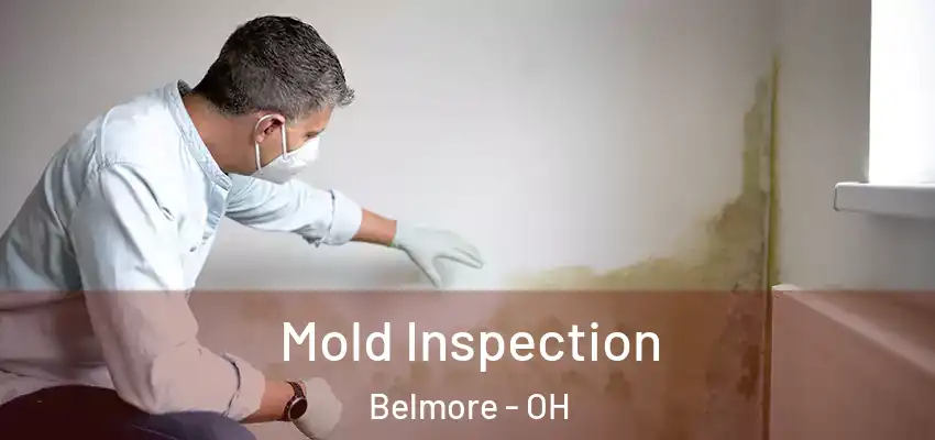  Mold Inspection Belmore - OH