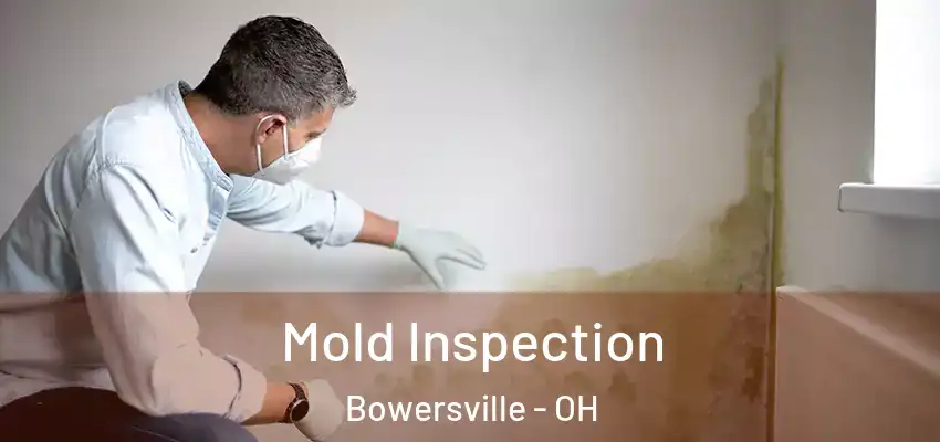 Mold Inspection Bowersville - OH