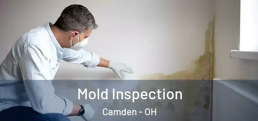  Mold Inspection Camden - OH