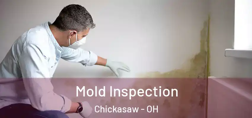  Mold Inspection Chickasaw - OH