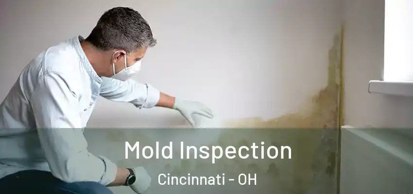 Mold Inspection Cincinnati - OH