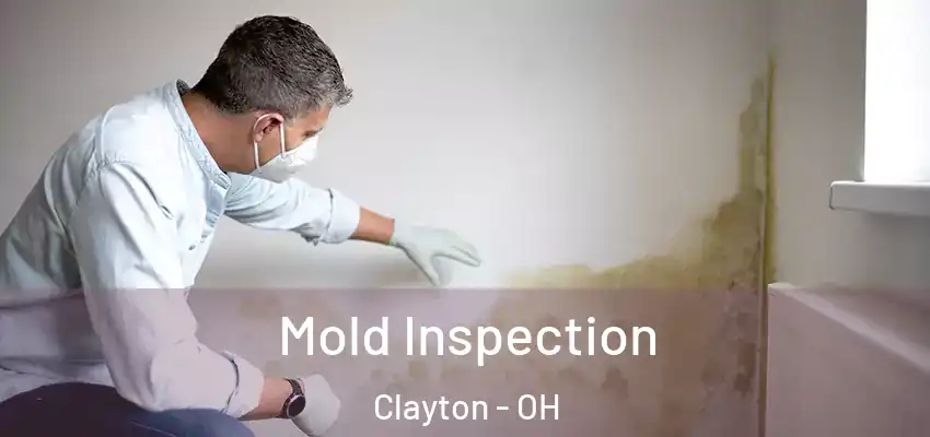  Mold Inspection Clayton - OH