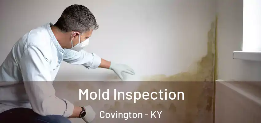 Mold Inspection Covington - KY