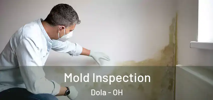 Mold Inspection Dola - OH