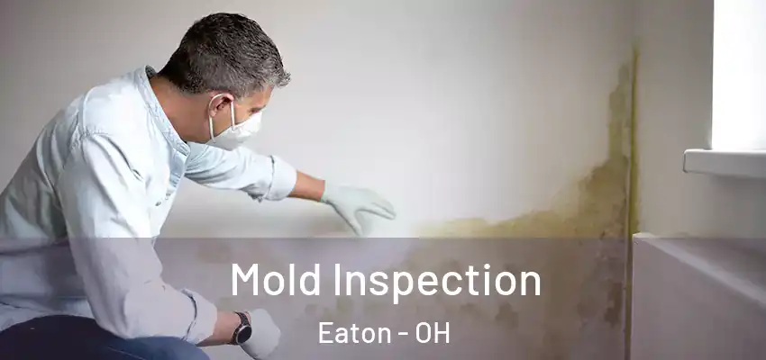 Mold Inspection Eaton - OH
