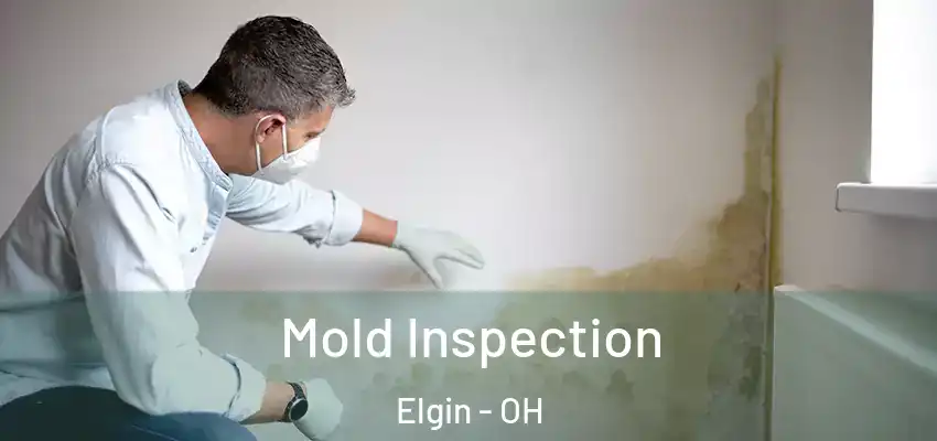 Mold Inspection Elgin - OH